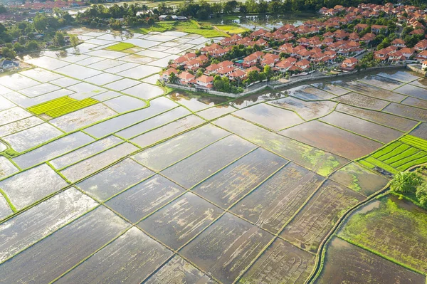 Luftaufnahme Eines Grundstücks Und Einer Wohnsiedlung Der Provinz Chiang Mai — Stockfoto