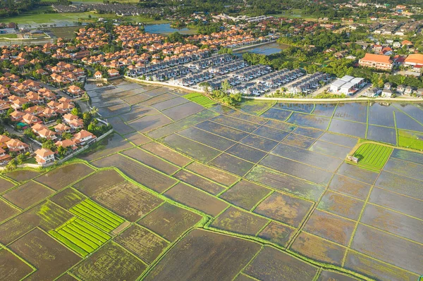 Luchtfoto Van Het Land Woonwijk Chiang Mai Provincie Van Thailand — Stockfoto