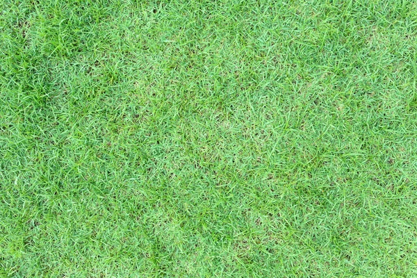 草や芝生のテクスチャエコと自然コンセプトのための緑の色の背景と 遊楽のために草を植えた土地のこと ゴルフ サッカー 装飾庭園公園 — ストック写真