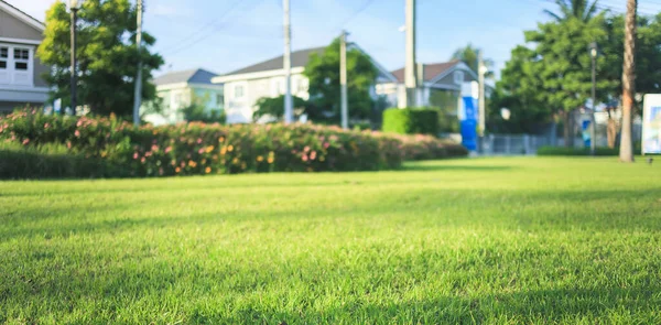 Jardim Paisagismo Considere Campo Verde Espaço Vazio Ambiente Natural Que — Fotografia de Stock