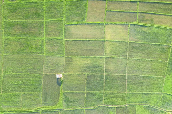 Ackerland Und Grundstücke Oder Grundstücke Besteht Aus Luftaufnahme Von Grünem — Stockfoto