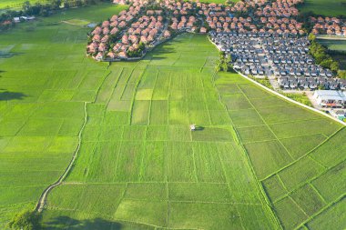 Tarlada, arazide ya da arazide. Yeşil alanın, tarımsal bitkinin ve sırtın havadan görünüşünden oluşmaktadır. Bu arazi tarım, mülkiyet, satış, kalkınma, kira, satın alma veya yatırım içindir..