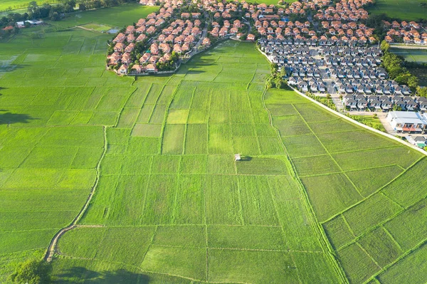 Gecultiveerd Land Land Perceel Land Perceel Bestaande Uit Luchtfoto Van — Stockfoto