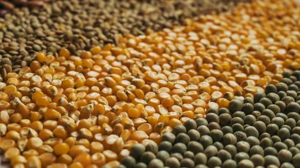 以干粮和对角线观点相反的种子制成的背景 包括鹰嘴豆 爆米花和豌豆 代表了粮食主权和在珊瑚或鳕鱼时期粮食的重要性19 — 图库照片