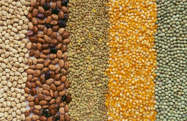 ヒヨコマメ レンズ豆 ポップコーン エンドウ豆などの乾燥穀物と種子で作られた背景は 食品主権を表し コロナウイルスやCovid 19の時代の食品の重要性 ロイヤリティフリーのストック画像