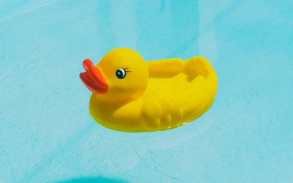 Rubber yellow duck floating in a floating pool in the summer. Child\'s play