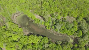 Etrafı yeşil bahar ormanlarıyla çevrili. Gizemli bir göl manzaralı. 