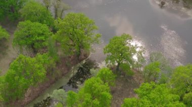 Nehir ve kanalları meşelerle çevrili. Su alglerle kaplıdır..