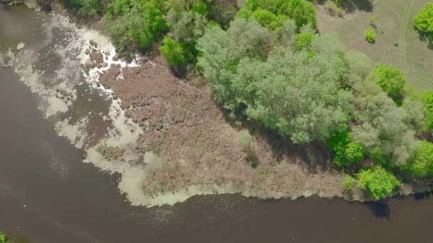 Jezero obklopené zeleným jarním lesem.top pohled na tajemné jezero — Stock video