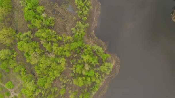 De rivier en haar kanalen omgeven door eiken. water is bedekt met algen. — Stockvideo