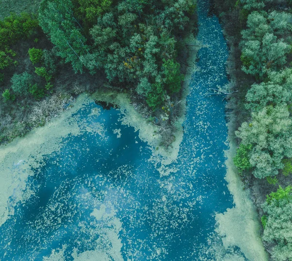 Nehir ve kanalları meşelerle çevrili. Su alglerle kaplıdır..