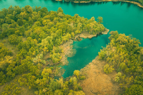the river and its canals surrounded by oaks. water is covered with algae.