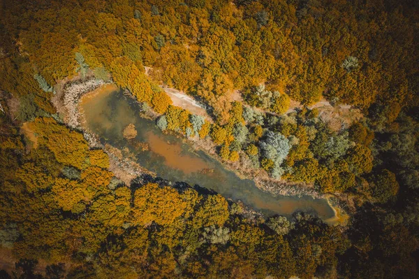 Lago rodeado de bosque amarillo de otoño. vista superior de un misterioso lago Imágenes de stock libres de derechos