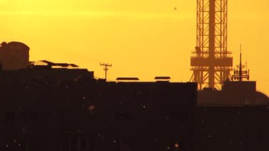 Kavak tüyü, testere ve ince parçacıklar. Alerji kaynakları. 