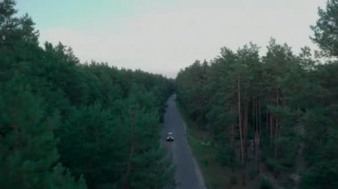  Alacakaranlıkta ormanda araba sürüyor.