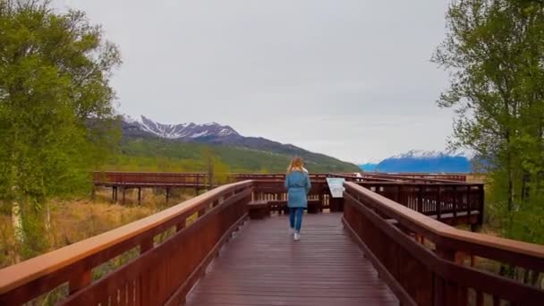 Κορίτσι περπατά κατά μήκος ενός μονοπατιού πάνω από ένα ποτάμι και βάλτους σε ένα αποθεματικό της Αλάσκα — Αρχείο Βίντεο