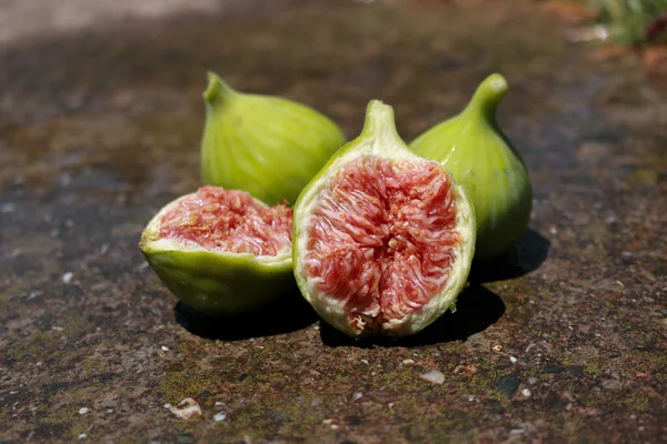 Sulu sarımsı incir meyvesi yalıtılmış