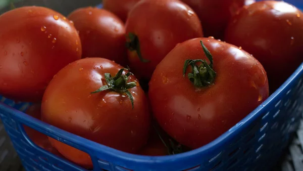 Çiğ domates sebzesini kapat.