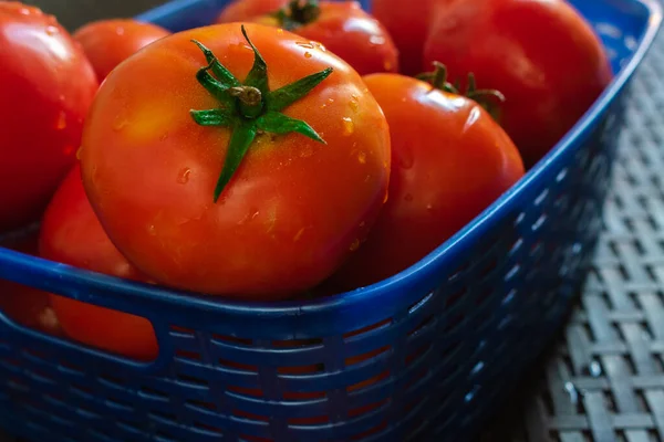 Mavi sepette kırmızı taze domates.
