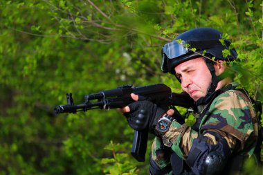 Parlak güneşli bir günde, ormandaki yumuşak asker.