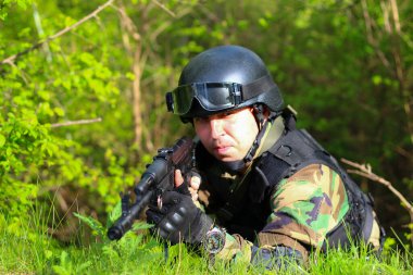 Ormandaki oyunda hava yumuşaklığı. Güneşli bir günde yaşam tarzı