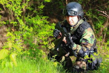 Ormandaki oyunda hava yumuşaklığı. Güneşli bir günde yaşam tarzı