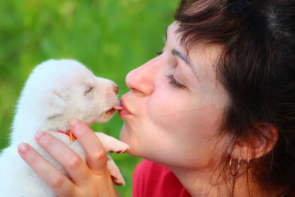 Mulher Beija Cachorrinho Branco Fundo Embaçado Close — Fotografia de Stock