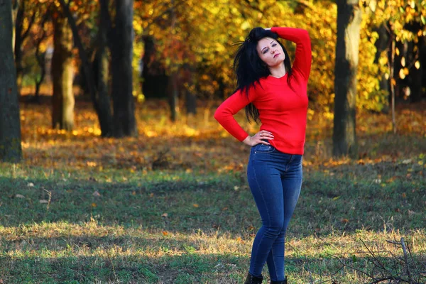 Belle Femme Brune Dans Parc Automne Dans Période Étonnante Colorée — Photo