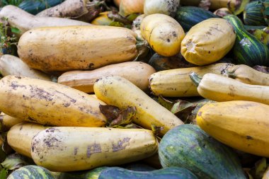 Bulanık sigara kutusu. Yakın plan.