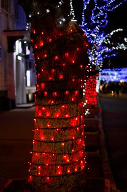 Parlak renkli çelenklerle süslenmiş ağaçlar