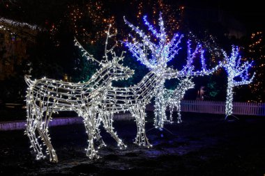 Çiçekli arka plandan geyik