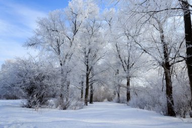 Kış manzaralı arka plan
