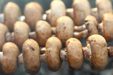 Tuz ve baharatlı marine edilmiş mantar, baharat, baharat ve biber dumanlı barbekü şişi. Beslenme düzeninin düşük karbonhidrat besin, vejetaryenlik ve kilo kaybı kavramı.