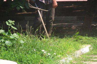 İhmal edilmiş bir şehir ortamında çim biçme