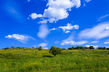 Doğa manzarası. Yeşil tarlalar ve tepeler çok güzel bir gökyüzü, arka plan.