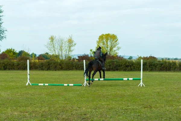 Foto de Cavalo Pulando Obstáculos Durante O Treinamento De Escola