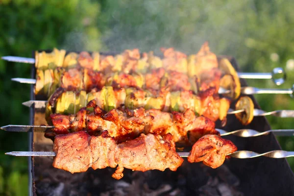 Shish Kebab Grelha Fechar Deliciosa Carne Saborosa Piquenique Perto Casa — Fotografia de Stock