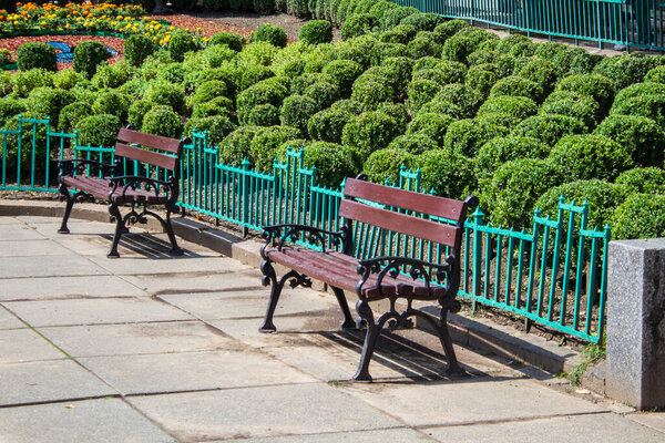 Public benches in the Park on a Sunny day