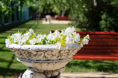 Vazodaki lüks çiçek tarhı