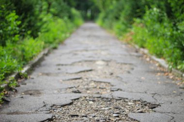 Park 'taki kaldırımların yok edilmesiyle ilgili arka planda bulanıklık