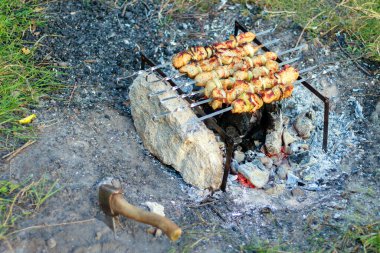 Şişte tavuk kebabı.