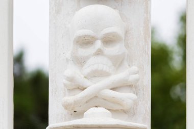 İki kemik ve beyaz kafatası.