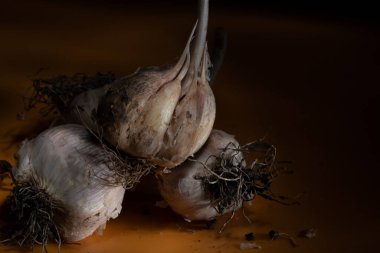 Yerden üç sarımsak, hafif çalılarla kaplı.