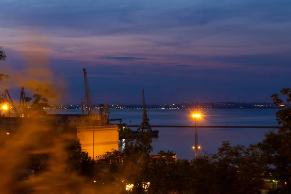 港の夜景を背景に — ストック写真