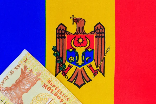 Moldova parası ve pasaportu üç renkli arka plana karşı