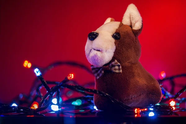 Typowa Pluszowa Zabawka Pies Symbol 2018 Roku Patrzy Smutno Tło — Zdjęcie stockowe