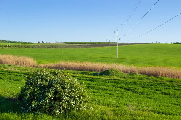 Champs Jardins Verts Printemps Paysage Montagneux Des Terres Agricoles — Photo