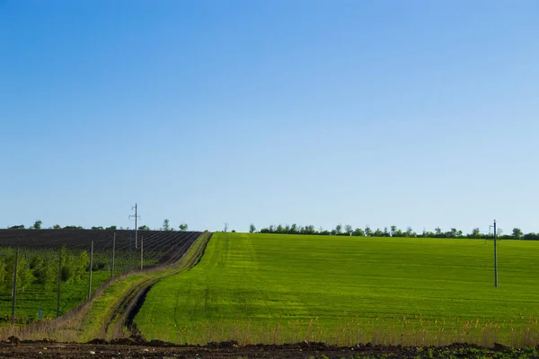 Champs Jardins Verts Printemps Paysage Montagneux Des Terres Agricoles — Photo