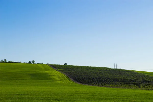 Grüne Frühlingsfelder Und Gärten Hügelige Landschaft Mit Ackerland — Stockfoto