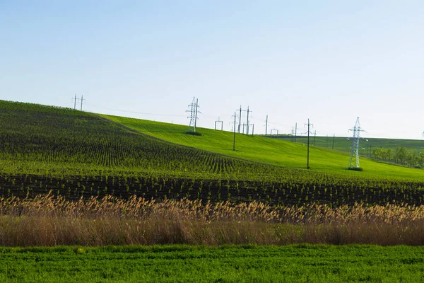 Champs Jardins Verts Printemps Paysage Montagneux Des Terres Agricoles — Photo